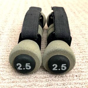 2.5 Pound Weight Set with Straps